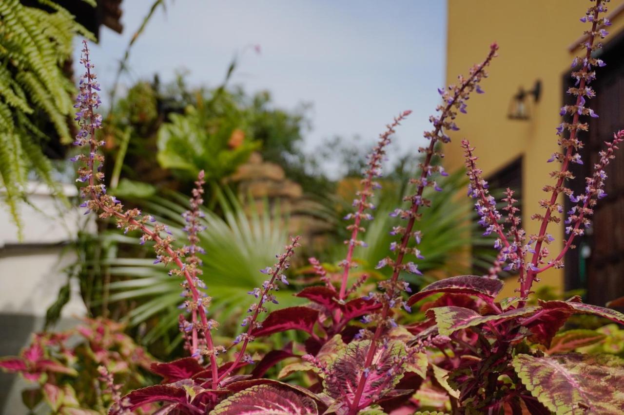 Pousada Dunasol Floripa Florianópolis Eksteriør bilde